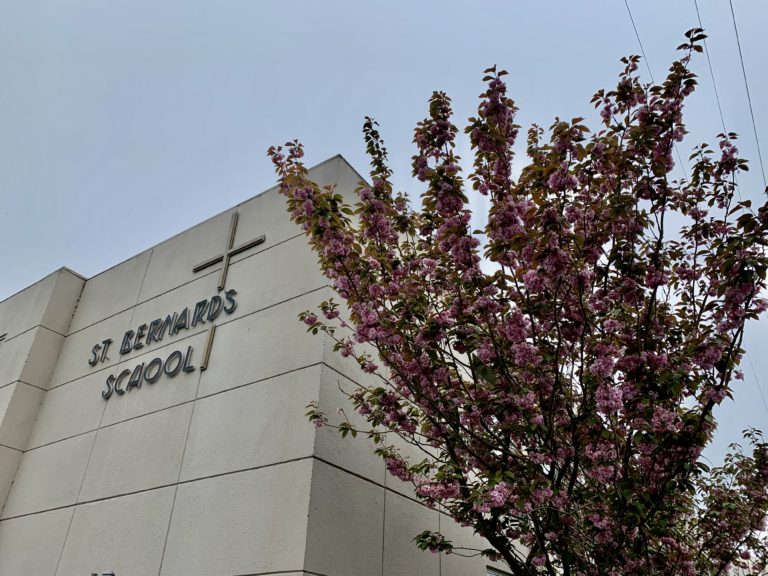 About | St. Bernard's Academy